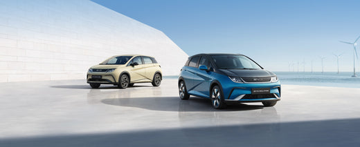 BYD Dolphin
