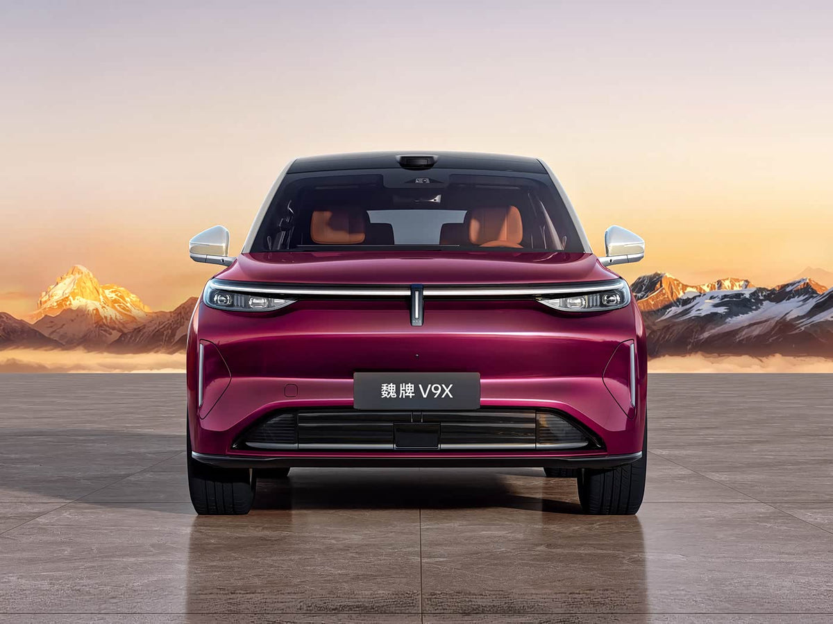WEY V9X - 5.205 m Family / 5.299 m Extended Body